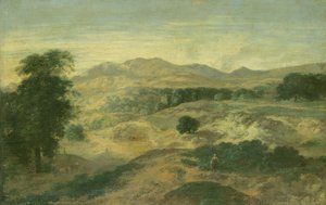 Landschap